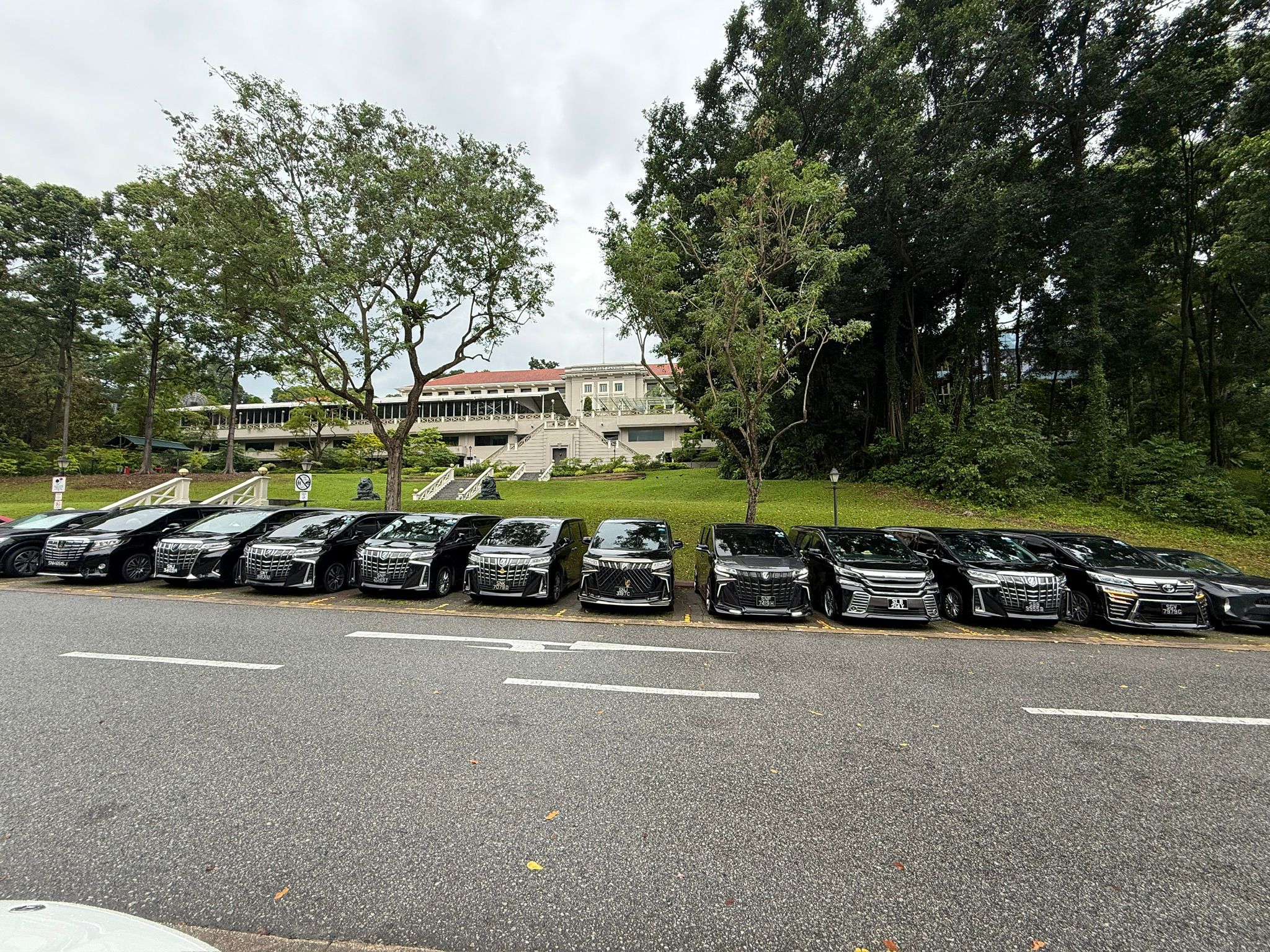 Biz Limousine fleet lined up for event transport